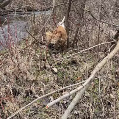 Blanche Hull Park - Kalamazoo,