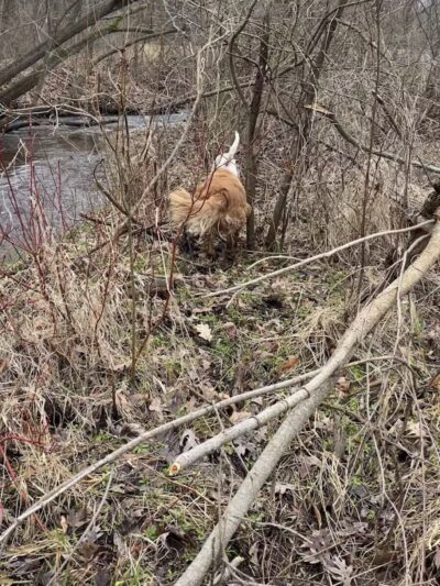 Blanche Hull Park - Kalamazoo,
