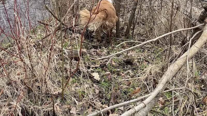 Blanche Hull Park - Kalamazoo,