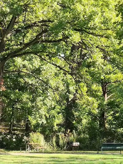 Blanche Hull Park - Kalamazoo,