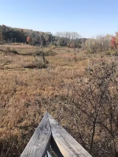 Bow in the Clouds Preserve - Kalamazoo,