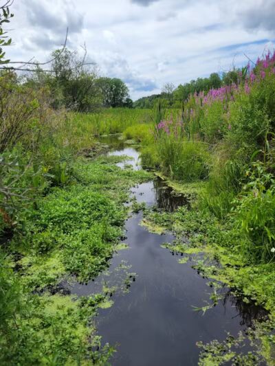 Bow in the Clouds Preserve - Kalamazoo,