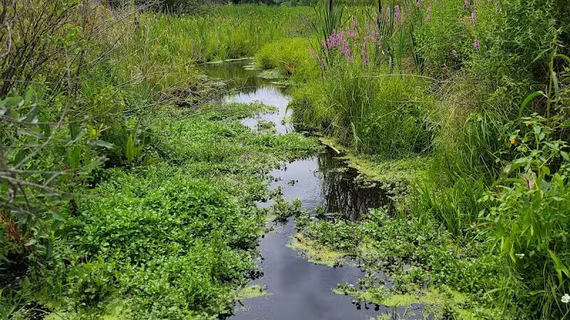Bow in the Clouds Preserve - Kalamazoo,