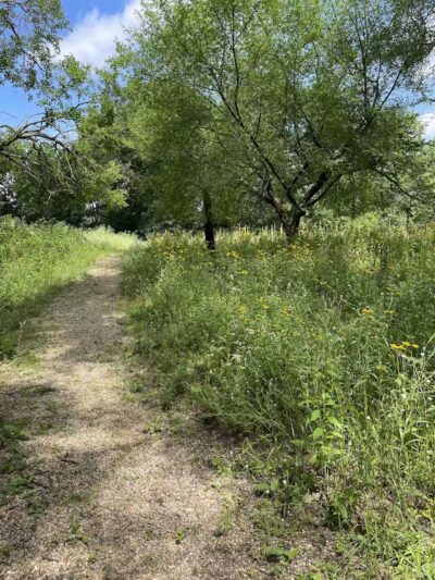 Bow in the Clouds Preserve - Kalamazoo,