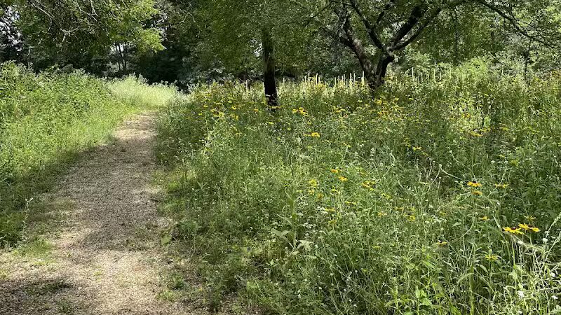 Bow in the Clouds Preserve - Kalamazoo,