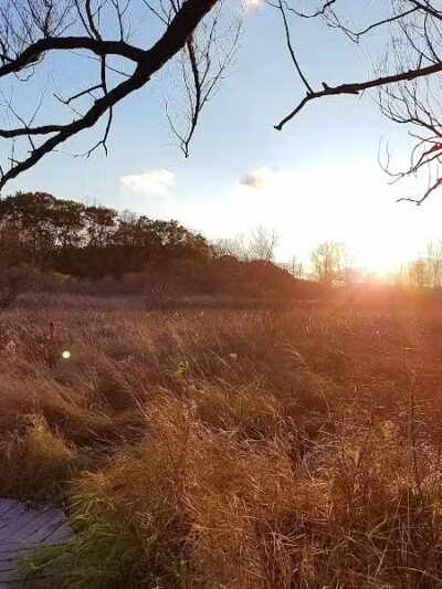 Bow in the Clouds Preserve - Kalamazoo,