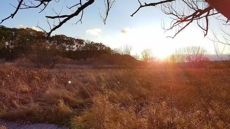 Bow in the Clouds Preserve - Kalamazoo,