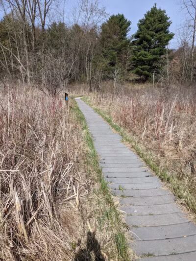 Bow in the Clouds Preserve - Kalamazoo,