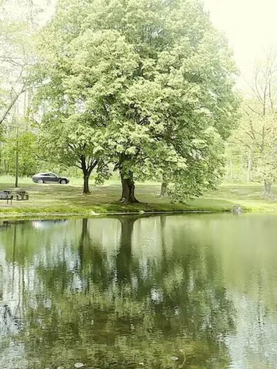 Comstock Waterfalls - Kalamazoo,