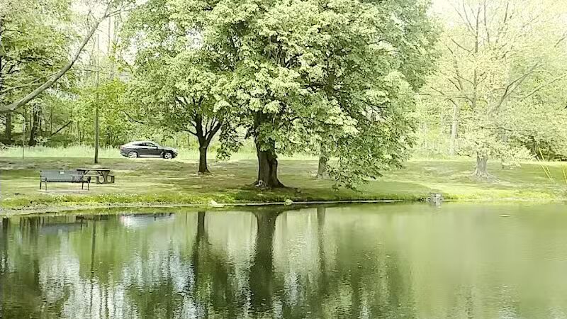 Comstock Waterfalls - Kalamazoo,