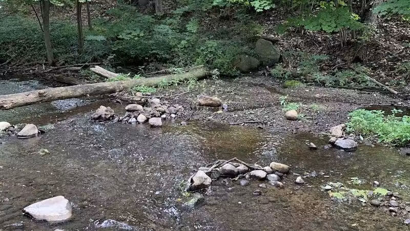 Comstock Waterfalls - Kalamazoo,