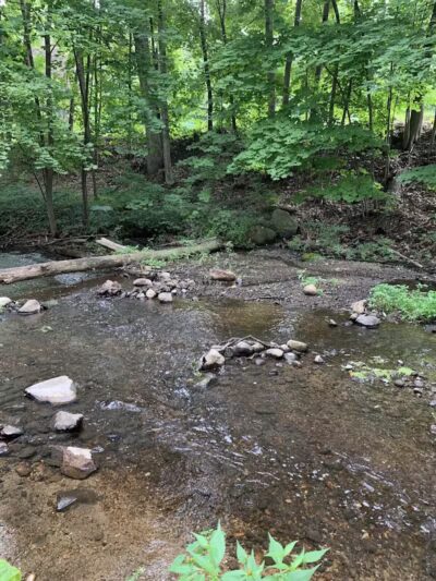 Comstock Waterfalls - Kalamazoo,