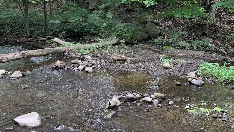 Comstock Waterfalls - Kalamazoo,