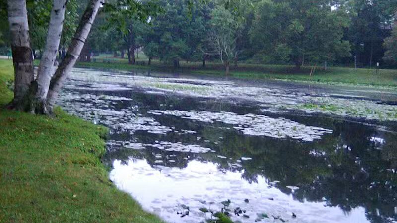 Comstock Waterfalls - Kalamazoo,