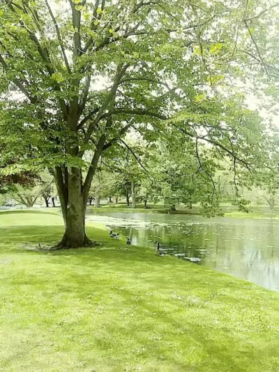 Comstock Waterfalls - Kalamazoo,