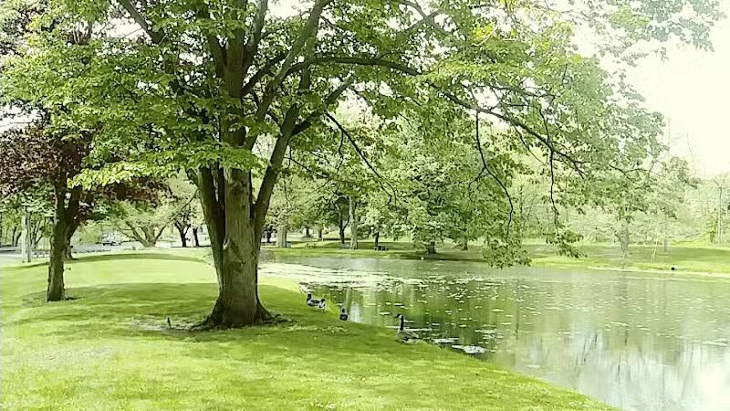 Comstock Waterfalls - Kalamazoo,