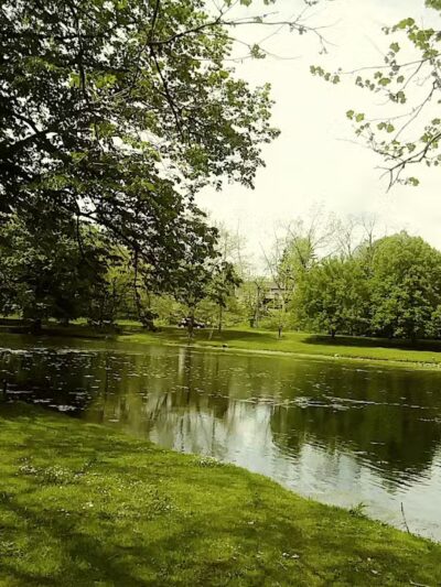 Comstock Waterfalls - Kalamazoo,