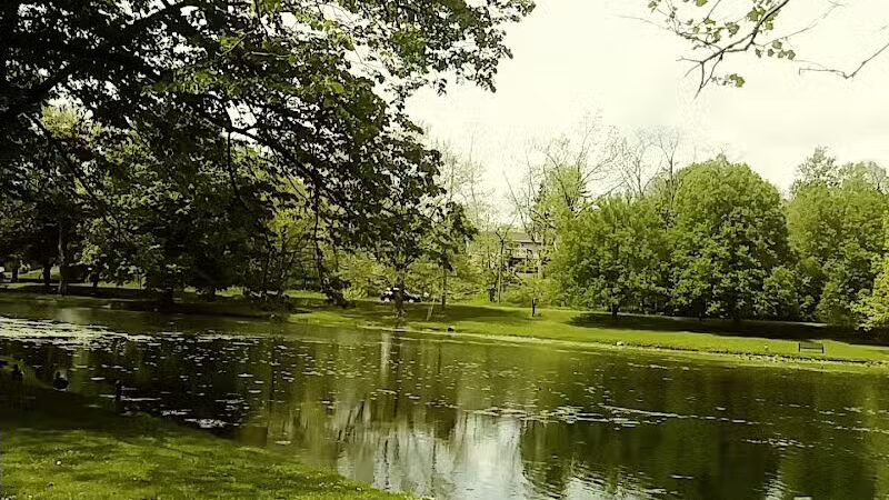 Comstock Waterfalls - Kalamazoo,