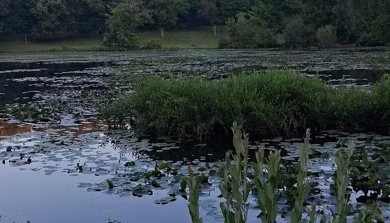 Comstock Waterfalls - Kalamazoo,
