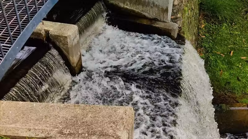 Cooper Park - Kalamazoo,