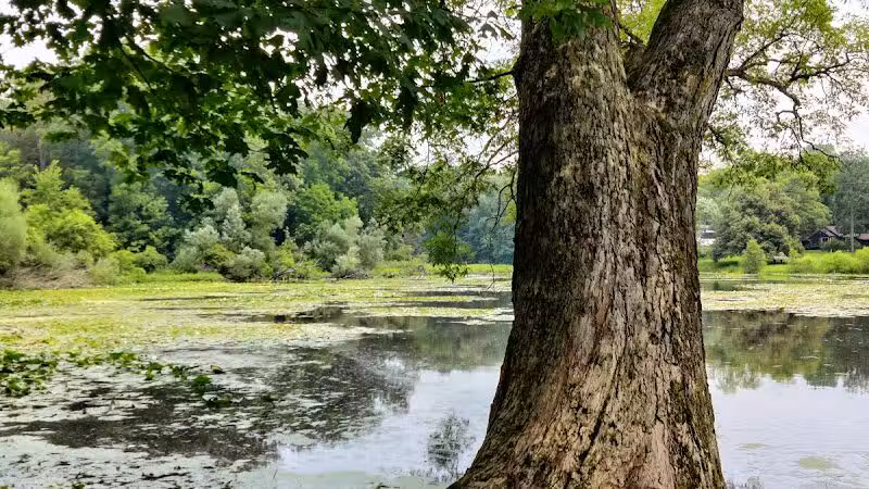 Cooper Park - Kalamazoo,