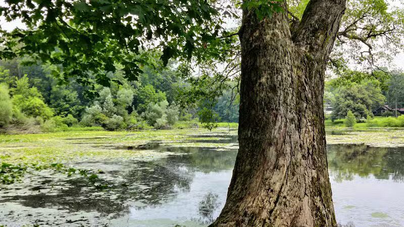 Cooper Park - Kalamazoo,