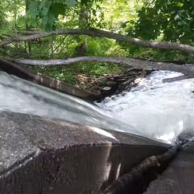 Cooper Park - Kalamazoo,