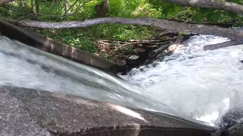 Cooper Park - Kalamazoo,