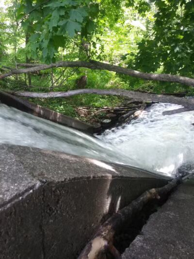 Cooper Park - Kalamazoo,