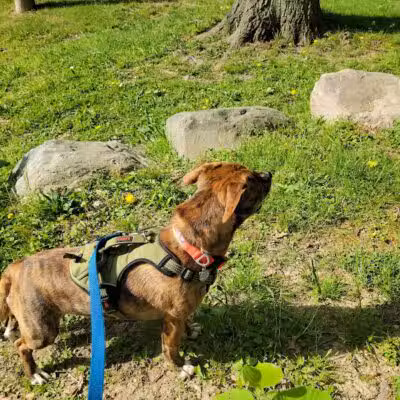 Cooper Park - Kalamazoo,