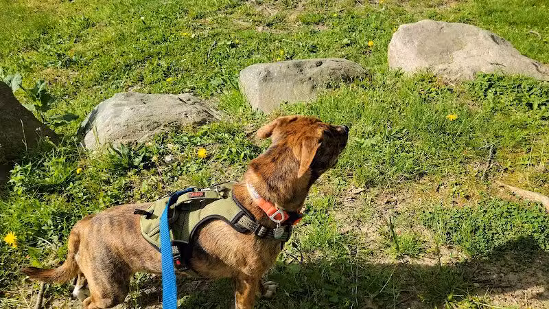 Cooper Park - Kalamazoo,