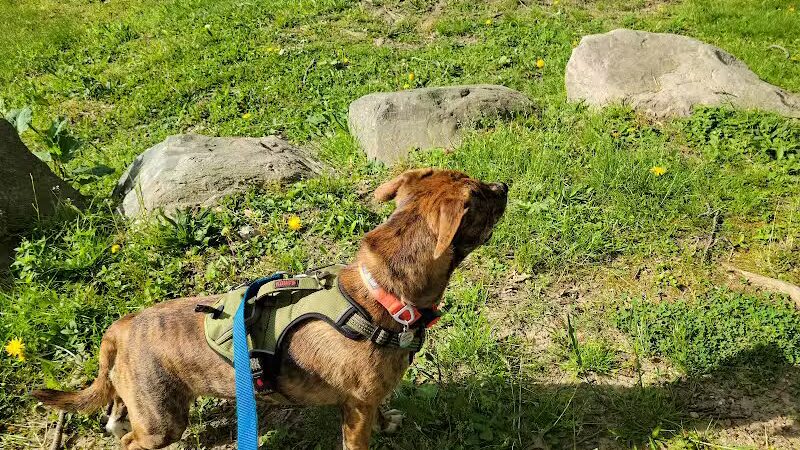 Cooper Park - Kalamazoo,