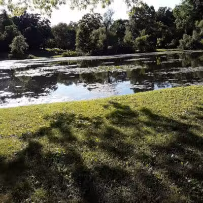 Cooper Park - Kalamazoo,