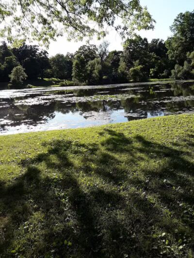 Cooper Park - Kalamazoo,