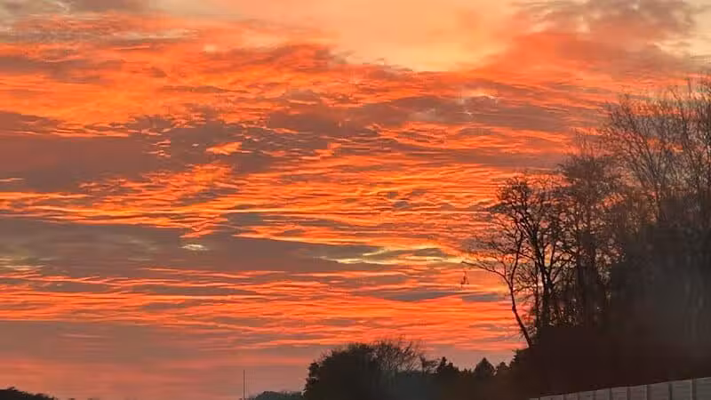 Emerald Drive Park - Kalamazoo,