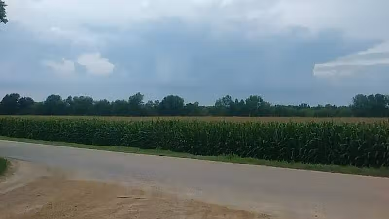 Emerald Drive Park - Kalamazoo,