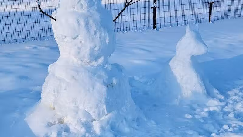 Fairmount Dog Park - Kalamazoo,