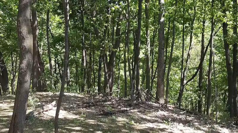 Fairmount Dog Park - Kalamazoo,