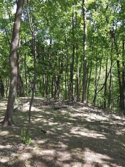 Fairmount Dog Park - Kalamazoo,