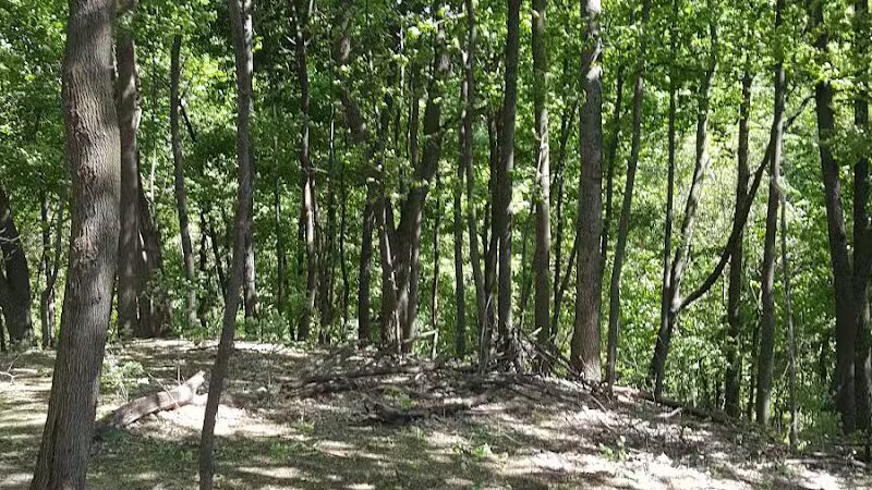 Fairmount Dog Park - Kalamazoo,