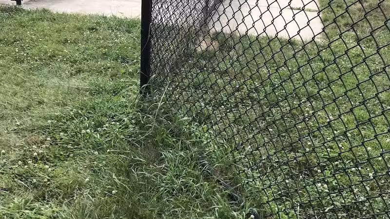 Fairmount Dog Park - Kalamazoo,