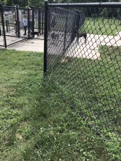 Fairmount Dog Park - Kalamazoo,