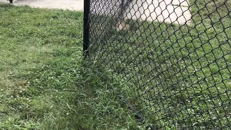 Fairmount Dog Park - Kalamazoo,