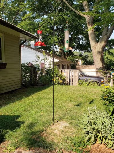 Hays Park - Kalamazoo,