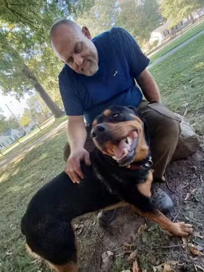 Hays Park - Kalamazoo,