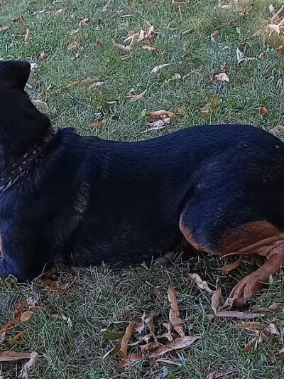 Hays Park - Kalamazoo,