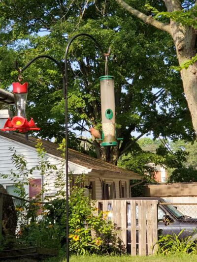 Hays Park - Kalamazoo,