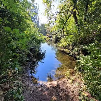 McLinden Nature Trails - Kalamazoo,