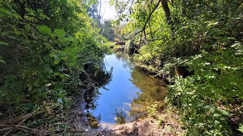 McLinden Nature Trails - Kalamazoo,