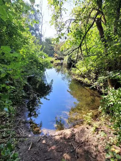 McLinden Nature Trails - Kalamazoo,
